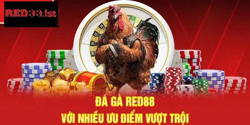 Giới thiệu về sảnh đá gà Red88